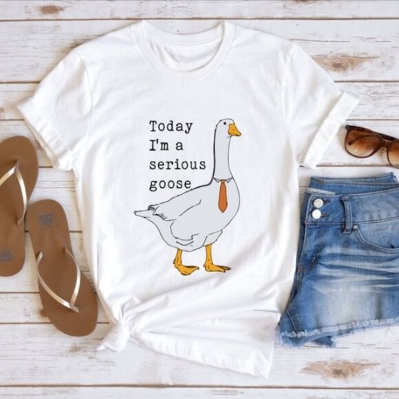 Today I_m A Serious Goose Shirt, Comfort Colors Shirt, Funny Silly Shirt - Picture 1 of 5
